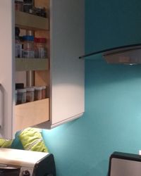Narrow spice pullout cabinet. <br><br>Made with modified Ikea kitchen parts
