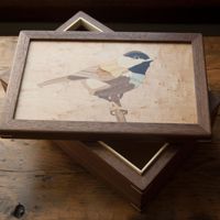 Chickadee box (alt image)