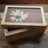 Daisy box