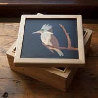 Kingfisher box (alt image)