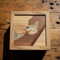 Warbler box