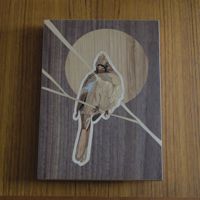 <i>Cardinal</i><br>2023