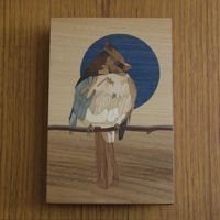 <i>Cardinal</i><br>2023