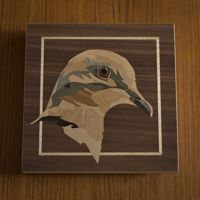 <i>Dove cameo</i><br>2023