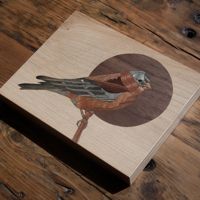 <i>Grey-crowned Rosy Finch</i><br>2022