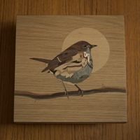 <i>Hermit Thrush</i><br>2023