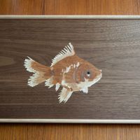 <i>Goldfish</i><br>2022