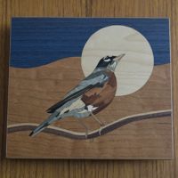 <i>Robin</i><br>2023