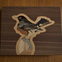 <i>Robin</i><br>2023