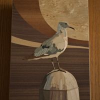 <i>Seagull</i><br>2023