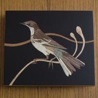 <i>Western Yellow Wagtail</i><br>2023