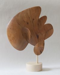 <i>Zippy</i> (front)<br>Cherry, 2020